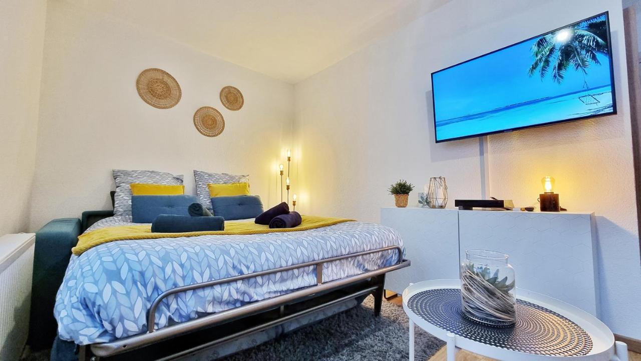 Le Smart - Parking - Terrasse - Wifi - Mulhouse - Relax Bnb Pfastatt المظهر الخارجي الصورة